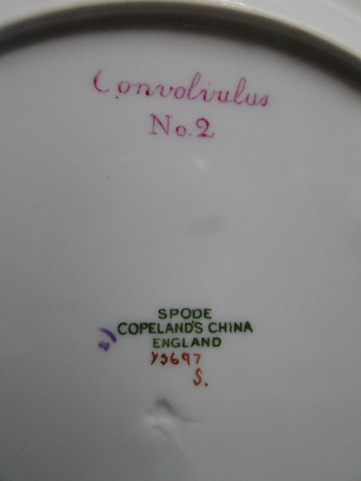 Spode Y3697, Blue, Flowers: Salad Plate, #2 Convolvulus, 9 1/8"