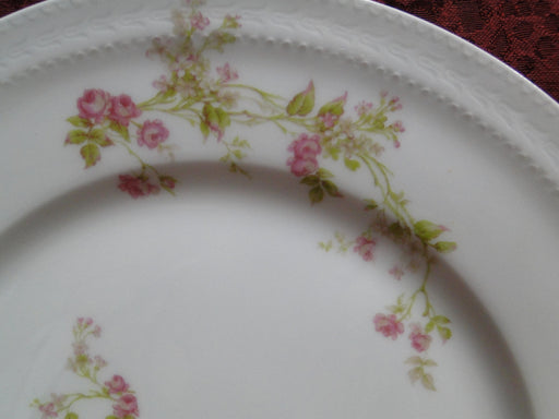 Haviland (Limoges) Schleiger 242e, Pink Roses: Dinner Plate (s), 9 3/4", As Is