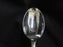 International Silver INS630 Silverplate Flatware: Salad / Serving Spoon & Fork