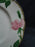 Franciscan Desert Rose, USA: Bread Plate (s), 6 1/4"