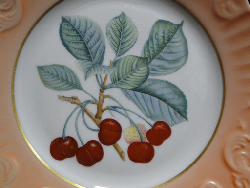 Mottahedeh Summer Fruit, Salmon Band: Salad Plate, Cherries, 7 7/8"