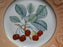 Mottahedeh Summer Fruit, Salmon Band: Salad Plate, Cherries, 7 7/8"