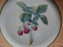 Mottahedeh Summer Fruit, Salmon Band: Salad Plate, Strawberries, 7 7/8"