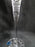 Waterford Crystal Winter Wonders: NEW Pair Midnight Frost Toasting Flutes, 11"