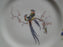 Haviland Paradise, Birds & Flowers, Blue Band: Dinner Plate, 9 1/2", Chip