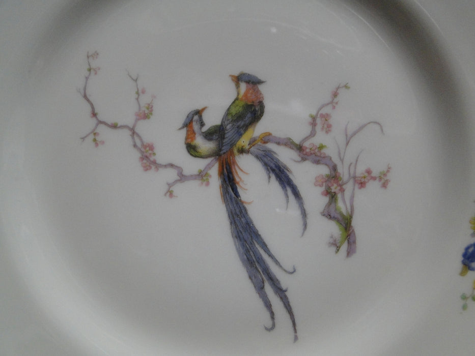Haviland Paradise, Birds & Flowers, Blue Band: Dinner Plate, 9 1/2", Chip