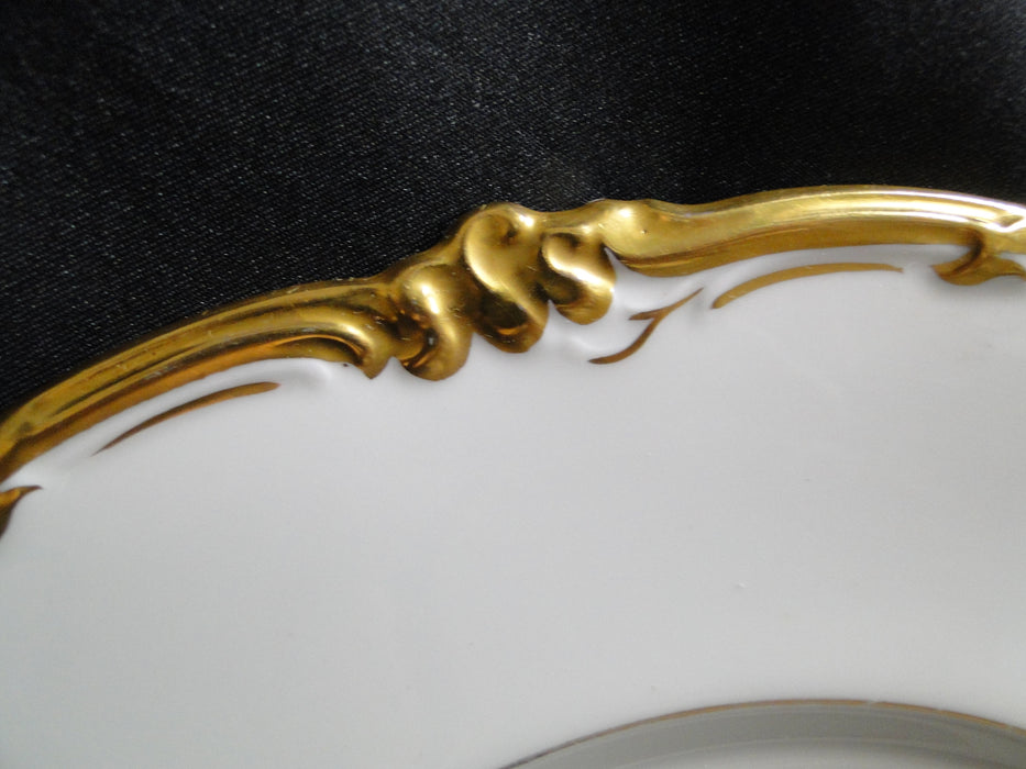 Coalport Eden, White w/Gold Trim: Dinner Plate (s), 10 1/2" - 10 5/8"