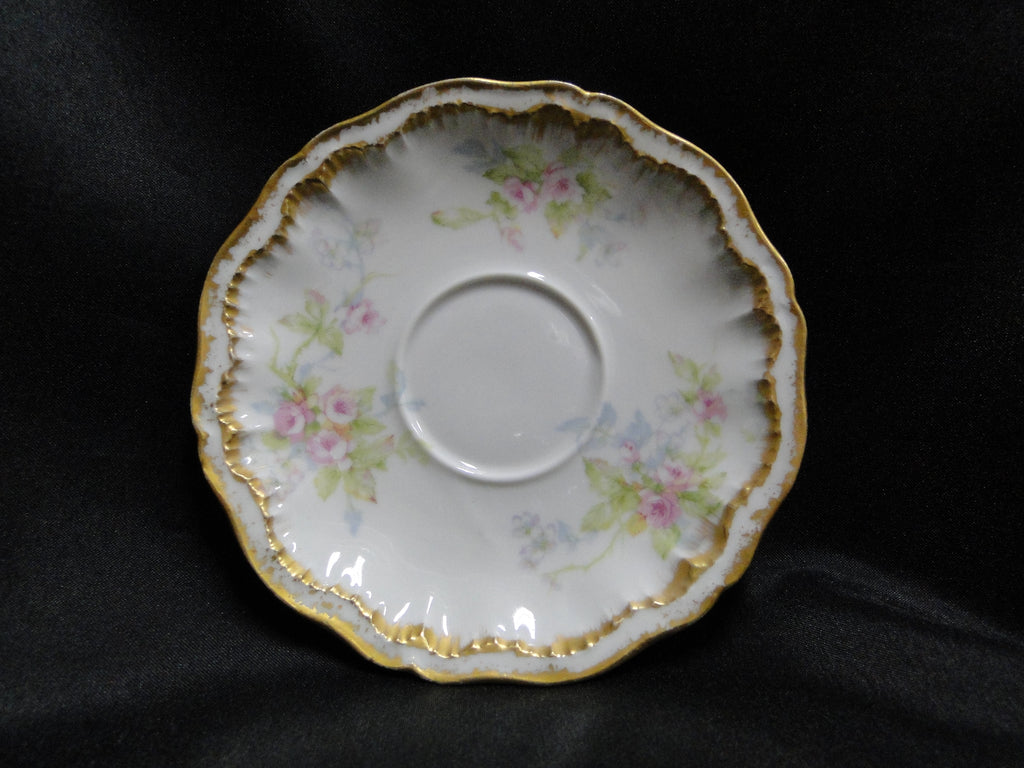 Limoges HAVILAND　(仏)ハンドペイントプレート　2枚 Limoges HAVILAND (仏)ハンドペイントプレート 2枚