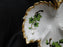 Kelvin Fine China: Three Part Divided Relish Dish Shaped Like a Leaf, 7 1/4"