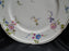 Castleton Sunnyvale, Multicolored Flowers: Dinner Plate (s), 10 1/2"