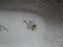 White w/ Multicolored Flowers, Gold Accents: Relish Dish, 12 1/2"