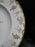 Royal Crown Derby Vine, Florals: Dinner Plate (s), 10 1/4"