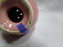 Fiesta: Rose Salt OR Pepper Shaker, 5 Holes, 2 1/4", No Backstamp, As Is