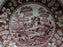Spode Pink Tower, Pink Floral w/ Scene: Cereal Bowl (s),  6 3/8"