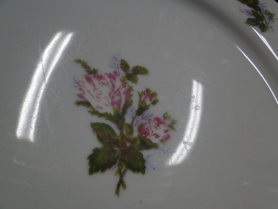 Mikasa Moss Rose 7288, Gold Trim: Dinner Plate (s), 10 1/8", As Is