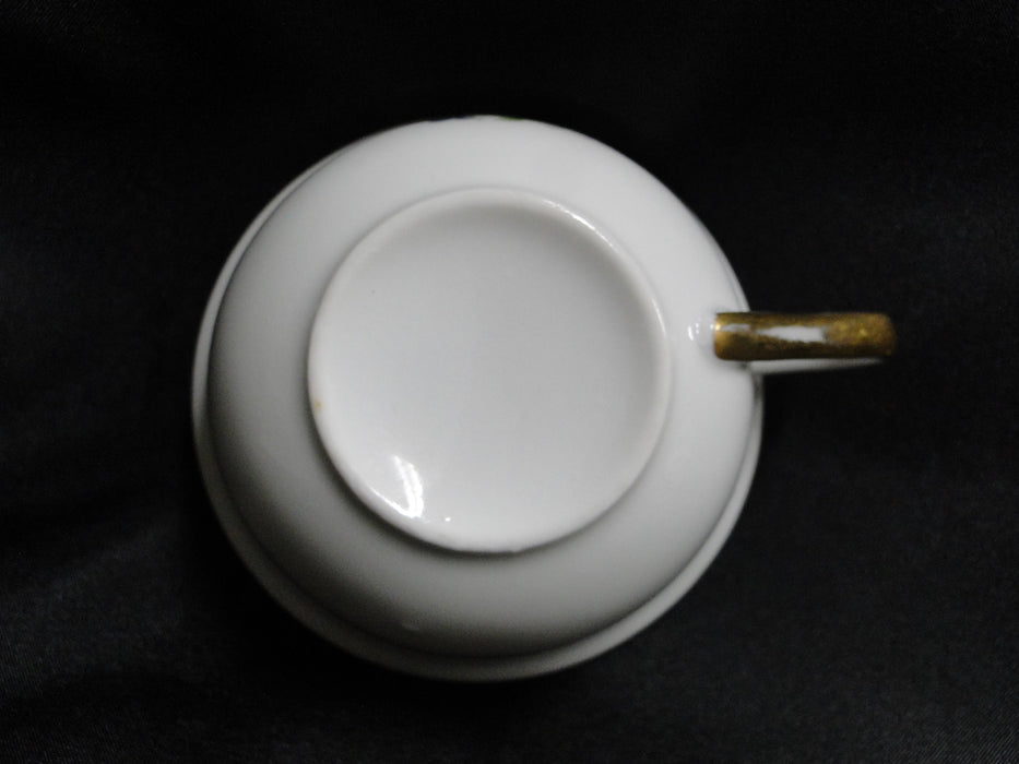 Royal Schwarzburg Docelie, Fruit, Yellow & Blue Bands: Cup & Saucer Set (s), 2"