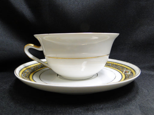 Royal Schwarzburg Docelie, Fruit, Yellow & Blue Bands: Cup & Saucer Set (s), 2"