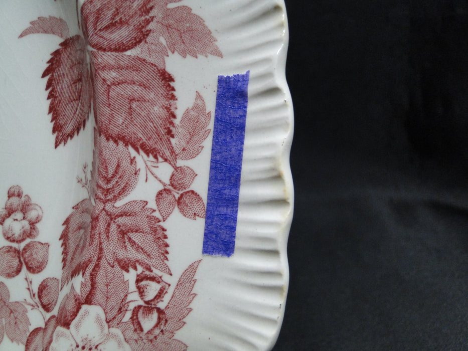 Wedgwood Bramble Pink Shell Edge, Queen's Ware: Dinner Plate, 10 1/4", Crazing
