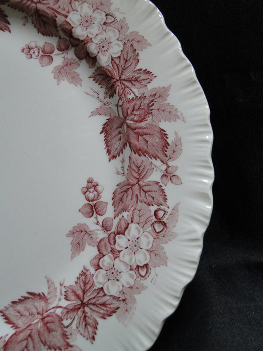 Wedgwood Bramble Pink Shell Edge, Queen's Ware: Dinner Plate, 10 1/4", Crazing