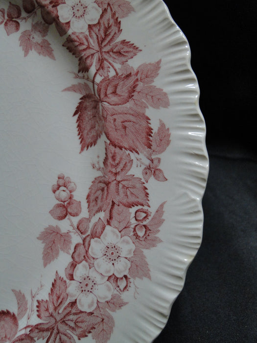 Wedgwood Bramble Pink Shell Edge, Queen's Ware: Dinner Plate, 10 1/4", Crazing