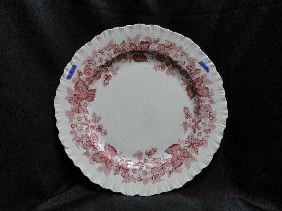 Wedgwood Bramble Pink Shell Edge, Queen's Ware: Dinner Plate, 10 1/4", As Is
