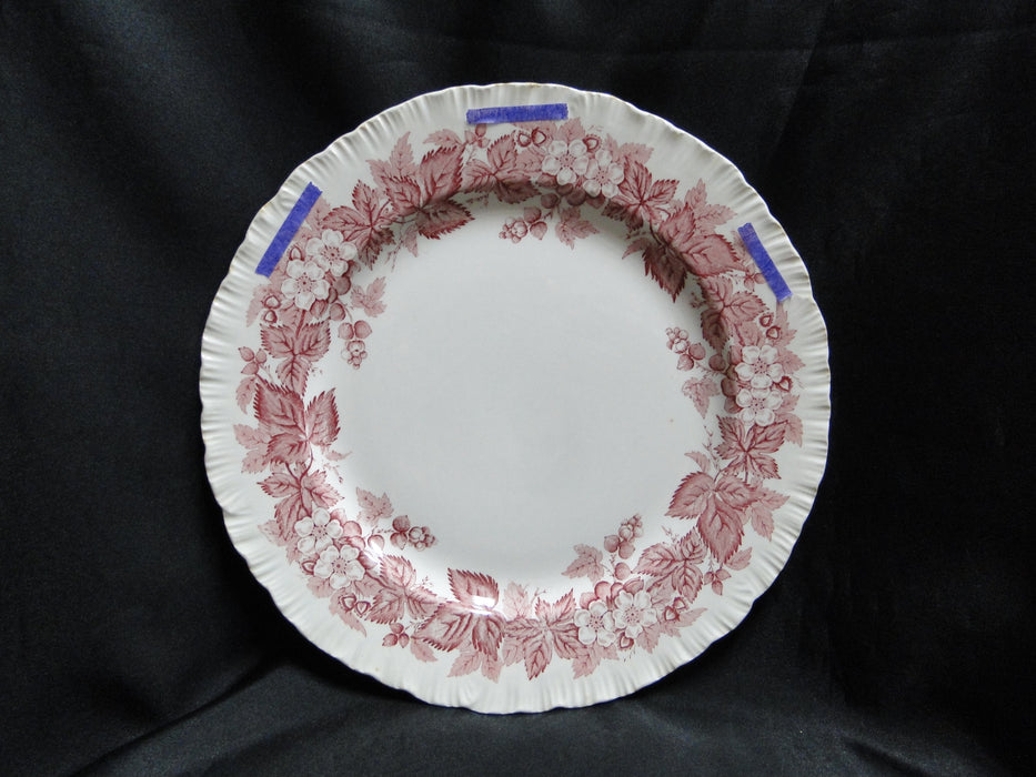 Wedgwood Bramble Pink Shell Edge, Queen's Ware: Dinner Plate, 10 1/4", As Is