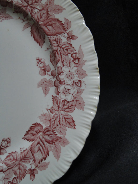 Wedgwood Bramble Pink Shell Edge, Queen's Ware: Dinner Plate, 10 1/4", As Is