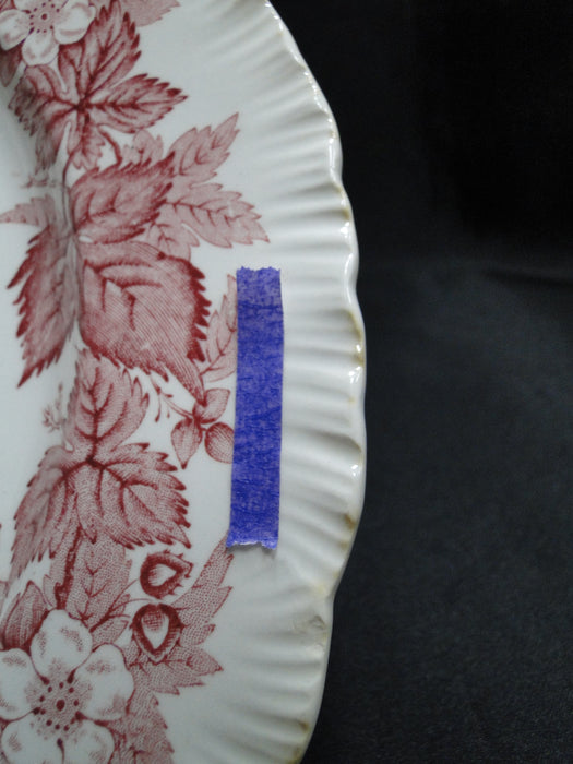 Wedgwood Bramble Pink Shell Edge, Queen's Ware: Dinner Plate, 10 1/4", As Is