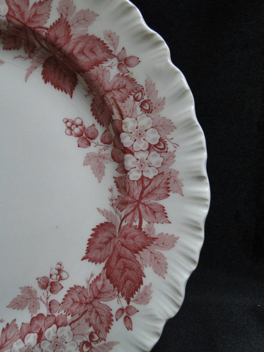 Wedgwood Bramble Pink Shell Edge, Queen's Ware: Salad Plate, 8 1/4", As Is