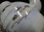 Japanese Handpainted, Birds & Iris: Teapot & Lid, 7", As Is