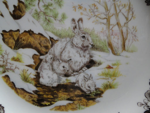 Spode Woodland Winter Scenes Snowshoe Rabbit: Dinner Plate (s), 10 1/2", Flaw