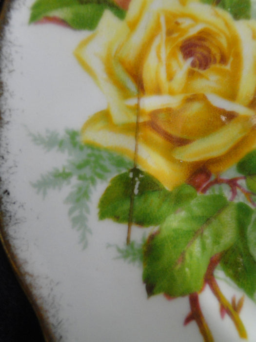 Royal Albert Tea Rose Yellow, Gold Trim: Bread Plate (s), 6 3/8"