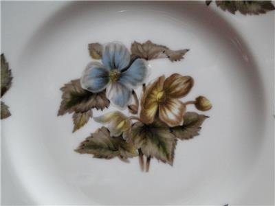 Royal Worcester Dorchester, Brown & Yellow Flowers: Bread Plate (s), 6"