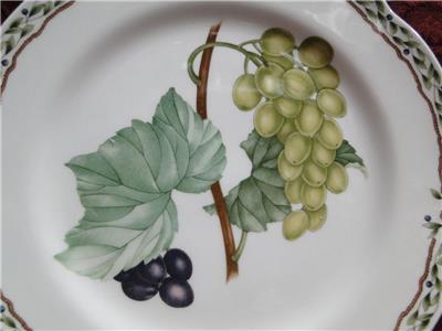 Noritake Royal Orchard, 9416, Fruit, Vine Border: Bread Plate (s), 6 3/4"