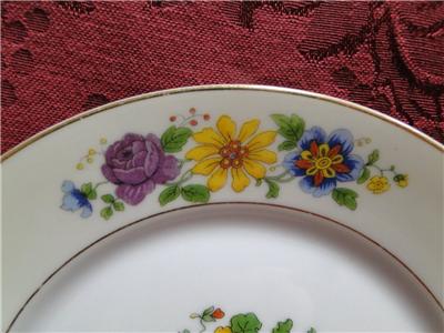 Thun Thu71 Floral Rim & Center, Cream Band: Bread Plate (s), 6"