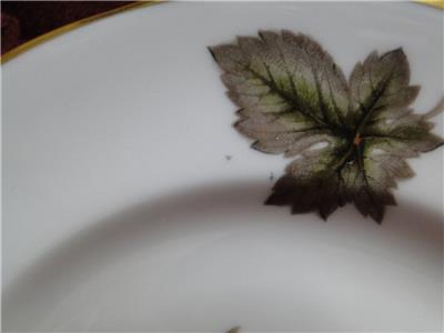 Royal Worcester Dorchester, Brown & Yellow Flowers: Bread Plate (s), 6"