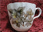 Royal Worcester Dorchester, Brown & Yellow Flowers: Cup & Saucer Set (s), 2 5/8"