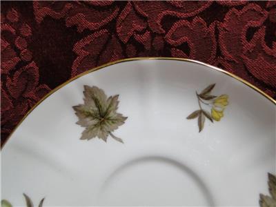 Royal Worcester Dorchester, Brown & Yellow Flowers: Cup & Saucer Set (s), 2 5/8"