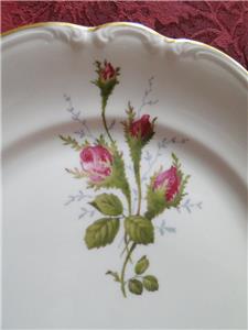 Rosenthal Moss Rose, Pompadour, Ivory: Dinner Plate (s), 10 1/8"