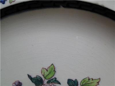 Wedgwood Floral, A6793, Flowers, Green Trim: Dinner Plate (s), 10"