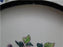 Wedgwood Floral, A6793, Flowers, Green Trim: Dinner Plate (s), 10"