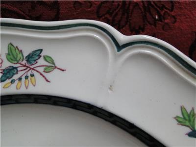 Wedgwood Floral, A6793, Flowers, Green Trim: Dinner Plate (s), 10"