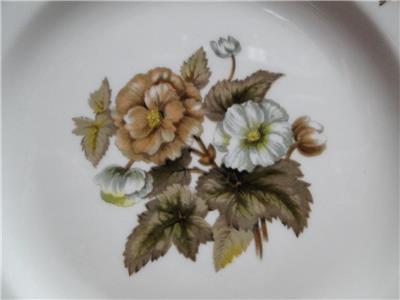 Royal Worcester Dorchester, Brown & Yellow Flowers: Salad Plate (s), 8"