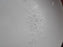 Sango Cantata, White/Gray Shadow Flowers: Salad Plate (s), 7 5/8"