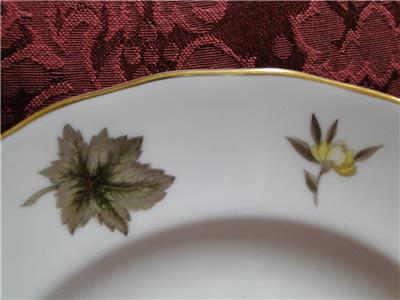 Royal Worcester Dorchester, Brown & Yellow Flowers: Salad Plate (s), 8"