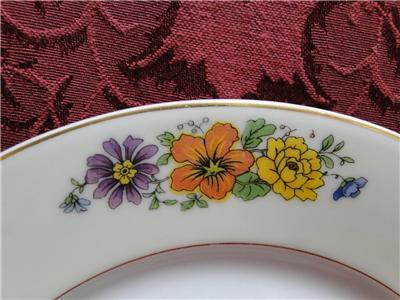 Thun Thu71 Floral Rim & Center, Cream Band: Salad Plate (s), 7 1/2"