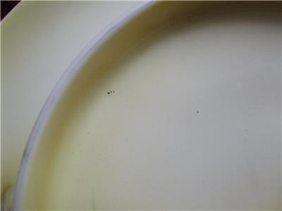 Reinhold Schlegelmilch Germany, White & Peach Roses: 2 Tier Serving Tray