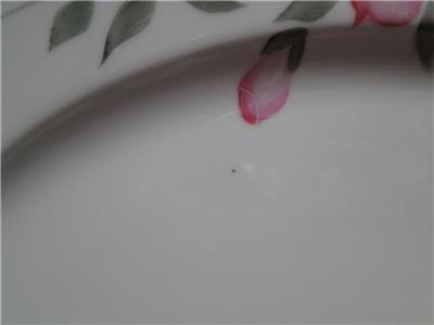 Noritake Azalea, 19322, White w/ Pink Flowers: Oval Serving Platter (s), 11 3/4"