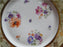 Tirschenreuth Floral Center & Gold Filigree on Rim: Dinner Plate, 10 3/4"
