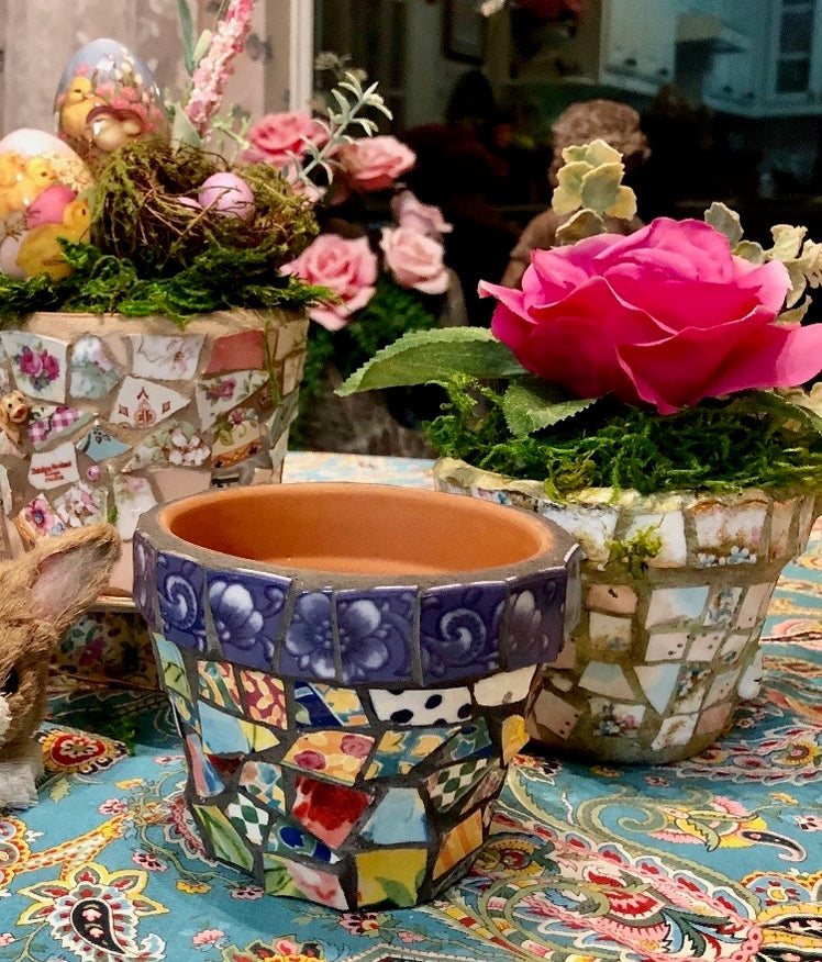 Plates — Dishes Encore